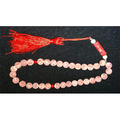 ll25 Korall
